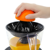 Citrus Maker for AUTO10S